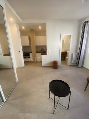Location Appartement 1 pièce 36m² NICE 06300 - Photo 1