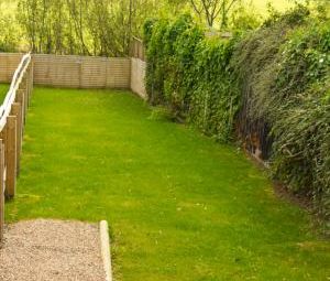 Mooretown Terrace, Newtownards, BT23 - Photo 6