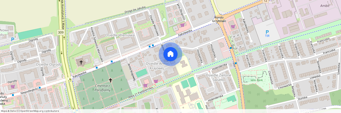 ul. Armii Krajowej, Leszno, wielkopolskie