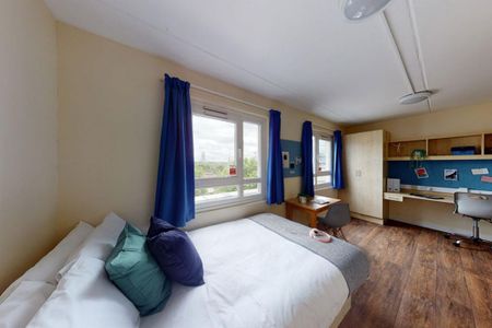 Studio to rent - Photo 5