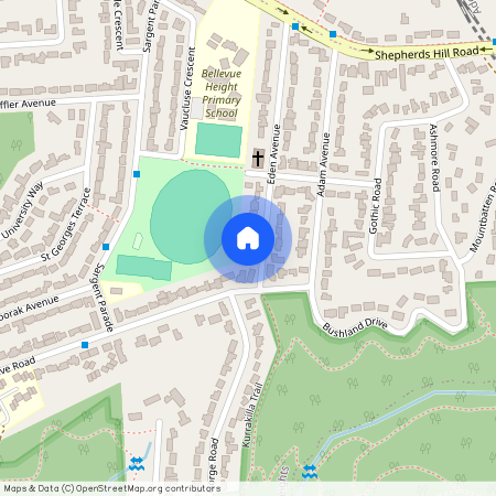 34 Eden Avenue, SA 5050, Bellevue Heights