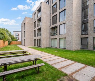 Studio to rent - Photo 6