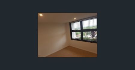 Stunning Two Bedroom Apartment with private courtyard! - Photo 4