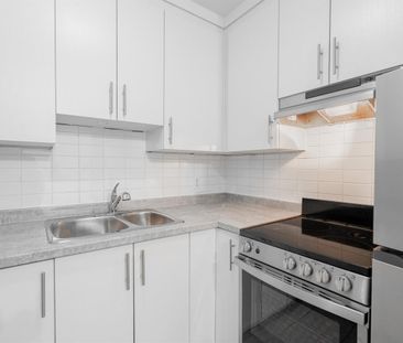 Completely Renovated 1 Bedroom- Available On November 1st - 1461 Ru... - Photo 1