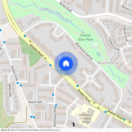 Dollar Park, Motherwell, ML1