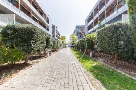 Flat for rent with Terrace in Vara de Quart (Valencia) - Foto 5