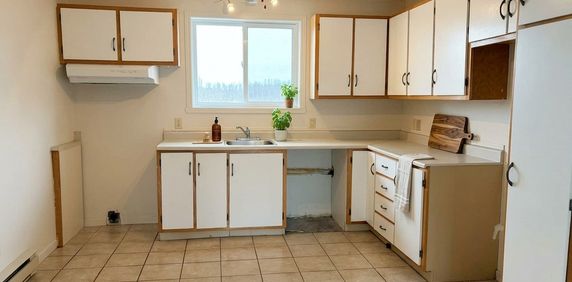 41/2 Près De L'épicerie à Waterville - Photo 2