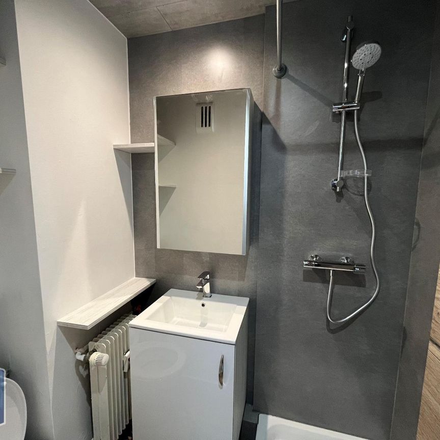 Location Appartement 1 pièce 13m² STRASBOURG 67000 - Photo 1