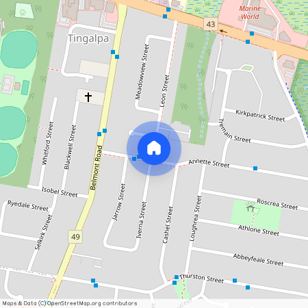 16 Annette Street, Qld 4173, Tingalpa