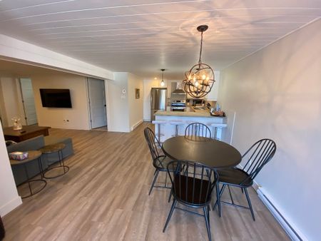 2 Ch. du Domaine-Pagé - Photo 2