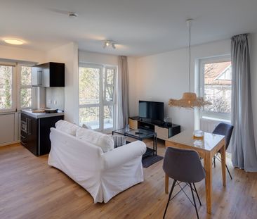 Modern furnished 2-room apartment for rent - Photo 2