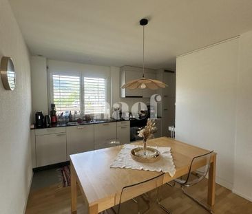 3.5 Zimmer, 80 m², EG - Foto 3