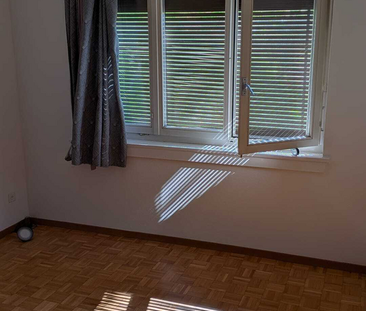 Grosszügige 2.5-Zimmerwohnung im Erdgeschoss mit Terasse - Photo 4