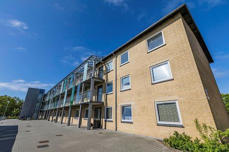 Asagården, Jættegården 1010-0 - Photo 5