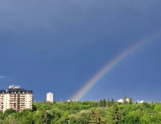 Location, Location, Location! Lovely, furnished one bedroom condo in Nutana | 717 Victoria Avenue, Saskatoon, SK, Canada, Saskatoon - Photo 1