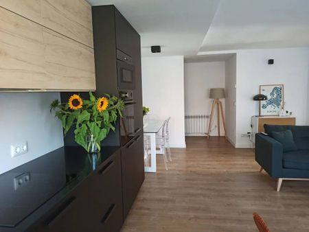 Calle de la Duquesa de Parcent, Madrid, Community of Madrid 28047 - Photo 4