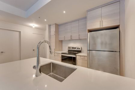 Appartement à louer - Montréal (Le Sud-Ouest) (Griffintown) - Photo 5
