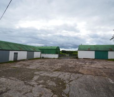 3 Bed Detached Bungalow - Photo 5