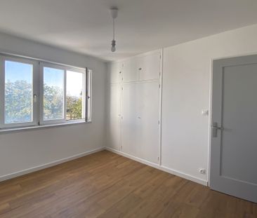 Location Appartement 3 pièces 70m² ST LOUIS 68300 - Photo 5