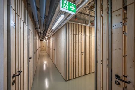 ++MOLLARD 50++ perfect 3-room apartment in the very heart of the city (1/17) - Foto 2