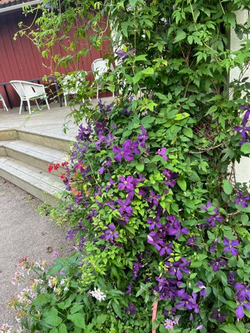 Gerstorp Tjärarp, Linköping - Foto 5