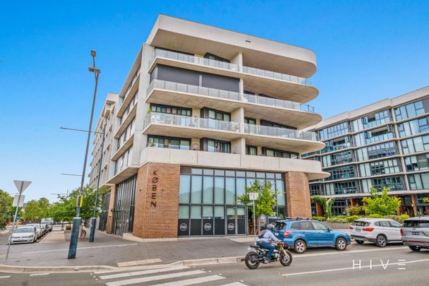 223/1 Kalma Way, Campbell ACT 2612 - Apartment For Rent | Domain - Photo 1