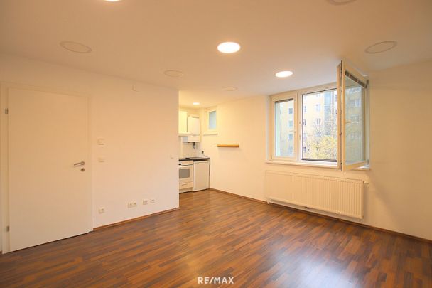 Kompakte 2-Zimmer Wohnung im Donau-Haus. Ruhig, hell, super Infrastruktur und sehr gute Anbindung. Nähe U6 Handelskai - Photo 1