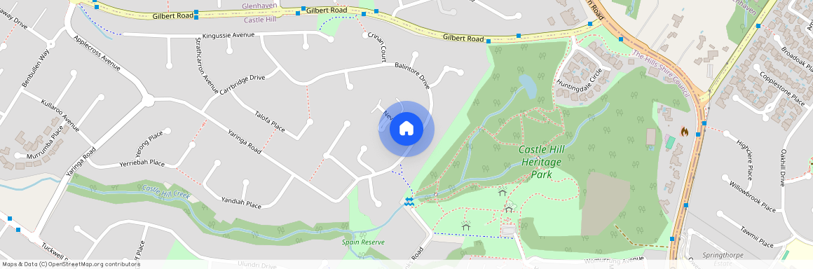 61 Balintore Dr, NSW 2154, Castle Hill