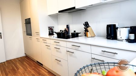 URBAN LIFE ABOVE THE ROOFS OF WEST ZURICH - Photo 5