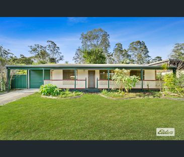 Spacious 3 Bedroom Home in Springwood - Photo 3