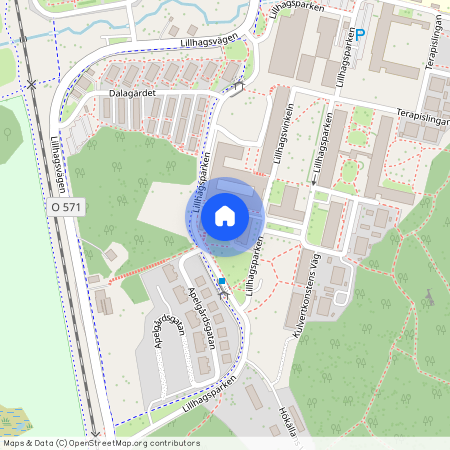 Göteborg, Lillhagsparken, 19E, 42250