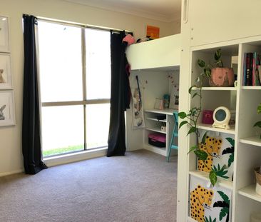 20 Bendigo Cres, Tallai QLD 4213 - House For Rent | Domain - Photo 5