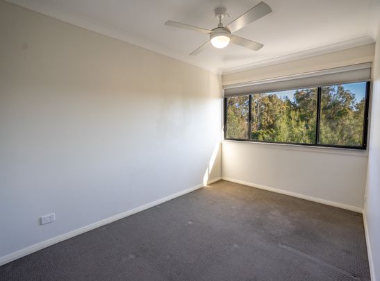 12/43 Mawson Street - Photo 1