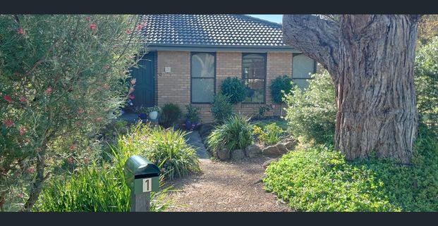 established home in good condition - Photo 1