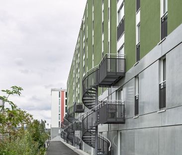 MIETEN OHNE KAUTION - Moderne Wohnung in der Stadtsiedlung Reitmen - Foto 4