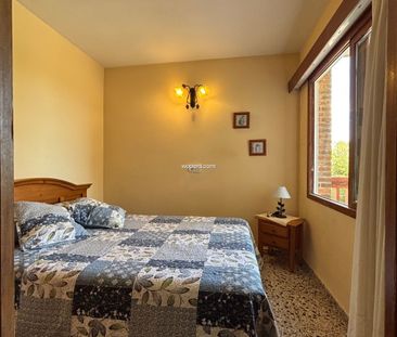 Apartment in Dehesa de Campoamor, for rent - Photo 5