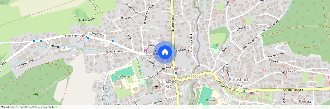 5015, Erlinsbach SO, Langgässli, 7