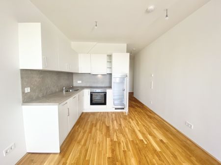 U3 ERSTBEZUG Top Dachwohnung 2 Zimmer + Terrasse =DAS LAURENZ= 1 bedroom apartment+terrace - Photo 4