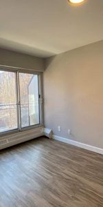 1 CH - 1 SDB - Montréal - $1,375 /mo - Photo 3