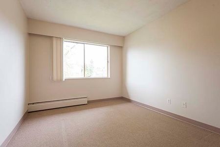 Holly Tree Apartments - 1 Bedroom - Photo 4