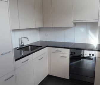 2.5 Zimmer, 54 m², 2. Stock - Photo 2