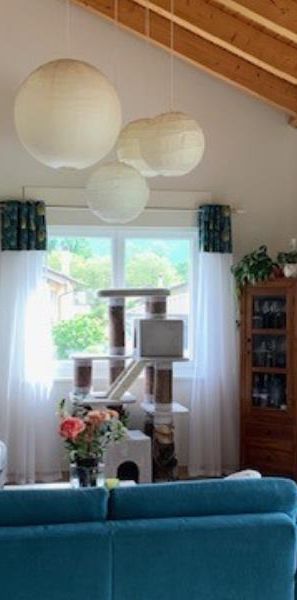 MASSONGEX - APPARTEMENT - Photo 1