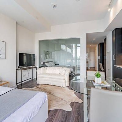 Elegant 1 Bed, 1 Bath with City Views and Private Entrance plus Air Co - Photo 4