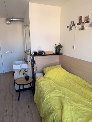 — Brus­sels­epoort­straat - Photo 5