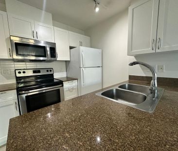Luxury Living! North facing 1 BR + Den in Downtown Vancouver For Rent - Photo 2
