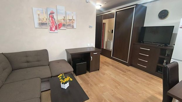 Apartament ARED cu 1 camera, St. O. Iosif, Oradea, 300 eu... - Fotografie 1
