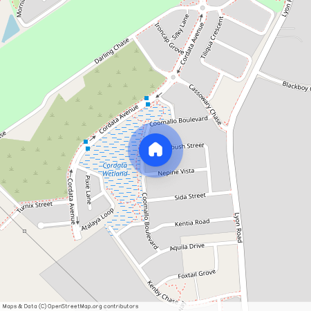 4 Saltbush Street, WANDI WA 6167