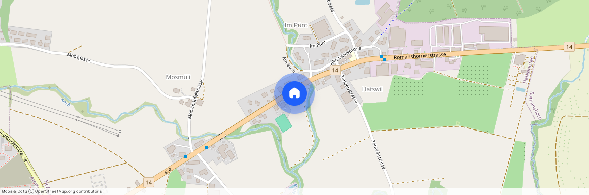 8580, Hefenhofen, Romanshornerstrasse, 248