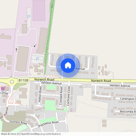 Newall Avenue, Thetford