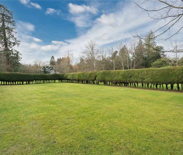 A charming first floor two bedroom apartment in Ascot. - Photo 3